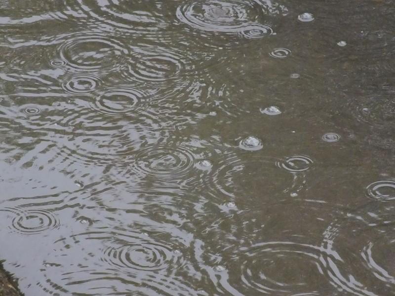雨量監(jiān)測儀，提供雨量原始數(shù)據(jù)