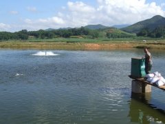 水產(chǎn)養(yǎng)殖檢測(cè)儀，為水產(chǎn)提供優(yōu)良的生長(zhǎng)環(huán)境